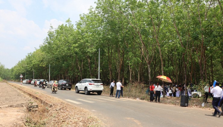Cần bán gấp đất chính chủ tại Bình Phước, Lộc Ninh, Lộc Hòa